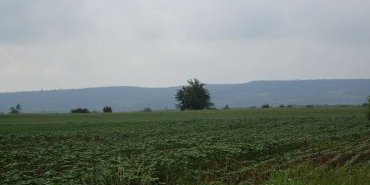 La campagne Serbe