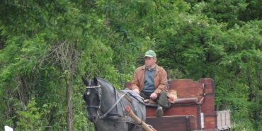 Une carriole tirée par un cheval