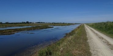 A gauche le marais, à droite la Digue et la mer