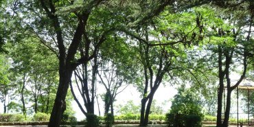 Parc de la mer Burgas