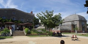 Jardin des plantes