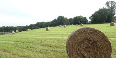 Paysage
