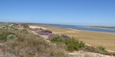 Ilha Deserta