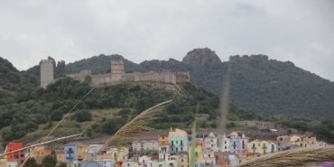 Bosa