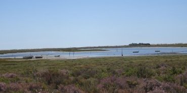 Vers Luz de Tavira