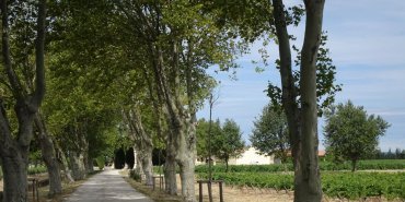La route
