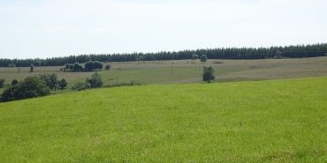 Cantal