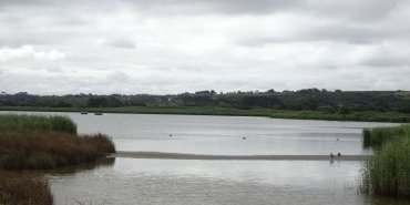 Curnic Pond