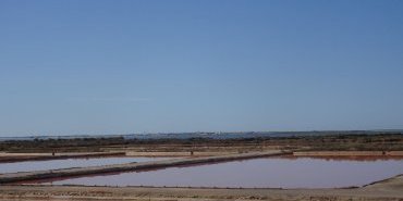 Salt marshes around Olhao