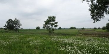 La campagne Serbe
