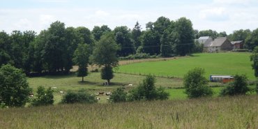 Paysage