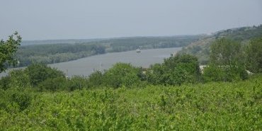 Danube, Ghindaresti