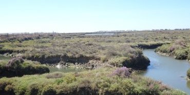 Marais