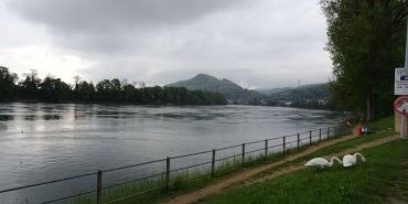 Le Rhin