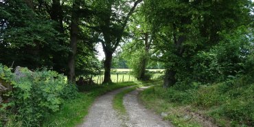 Prendre ou pas ce chemin