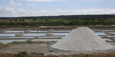 Marais salants de Guerande