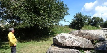 Bertrand au Dolmen melus