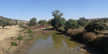 Extremadure
