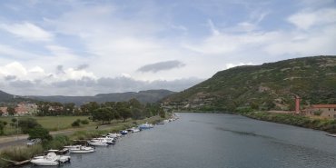 Bosa