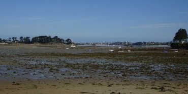 Roscoff