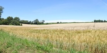 Paysage
