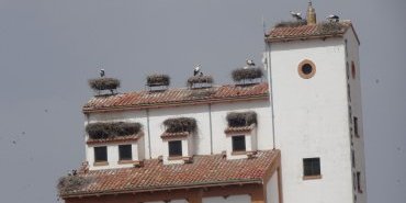 Torremocha