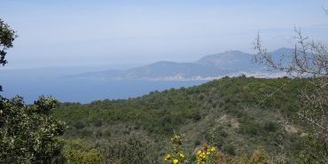 Paysage
