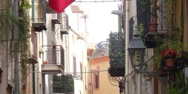 Bosa