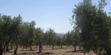 Extremadure