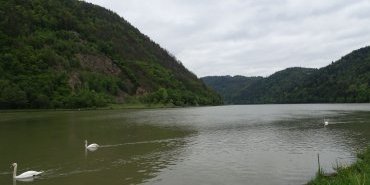 Danube between Schlogen and Untermühl