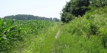 Euh… j'ai raté le bon chemin