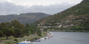 Bosa