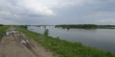 La piste