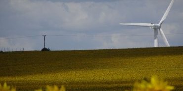 Sunflowers and Wind Turbines