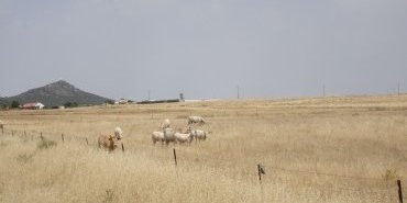 Paysage