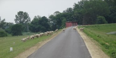La route