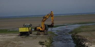 Ramassage des algues vertes à Saint-Michel de la mer