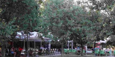 Varna