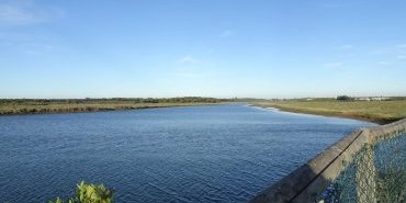 Au travers des marais