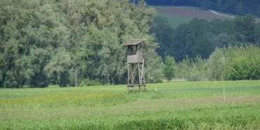 Campagne Autrichienne