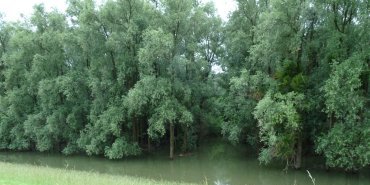 Le Danube déborde