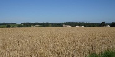 Paysage