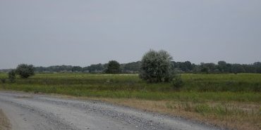 La route vers Letea