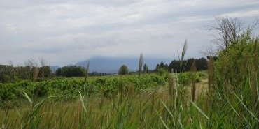 Paysage