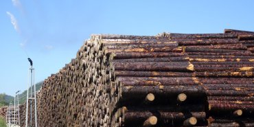 Le bois arrosé… comme dans les Landes après la tempête ?