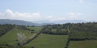 Paysage