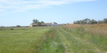 Réserve Nationale de Camargue