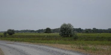 The road to Letea