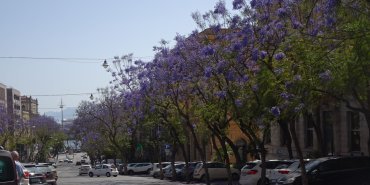 Cagliari