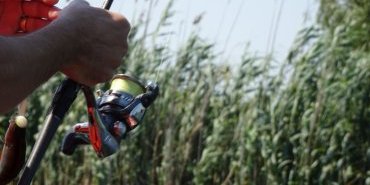 La pêche